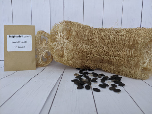 25 Loofah Seeds Free Shipping - Organic, Heirloom - Luffa Seeds, Loofa Seeds, Organically grown Loofah seeds
