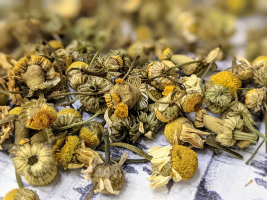 Organic Chamomile Whole Flowers and petals | Whole Chamomile Flowers | Select your size Chamomile flowers