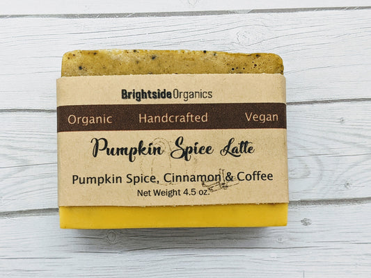 Pumpkin Spice Artisan Soap Handmade All Natural Soap Handcrafted Vegan Gifts for her