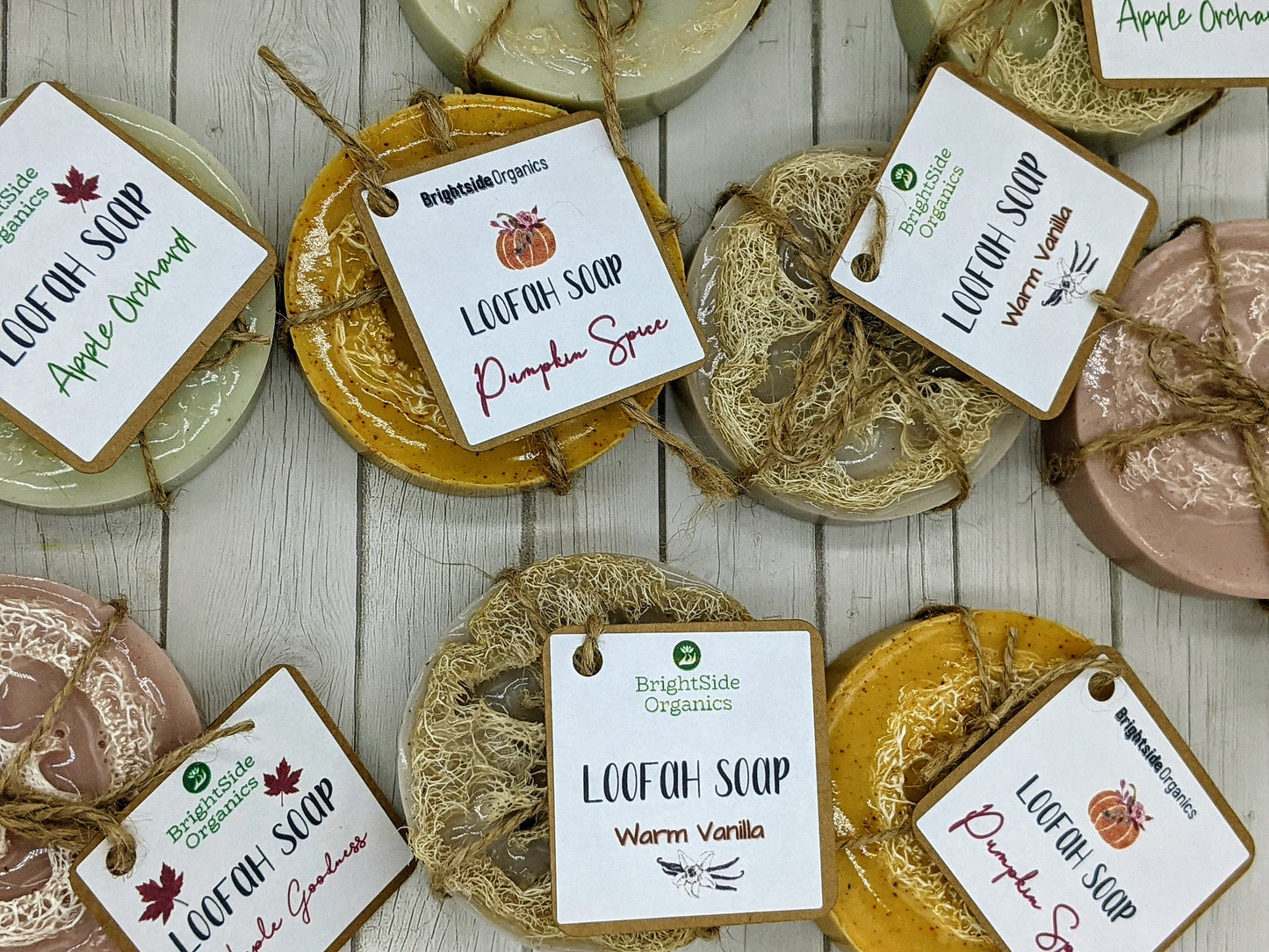 Exfoliating Goats Milk Loofah Soap Holiday Scents | Handcrafted Luffa Soap | All Natural Loofa soap Winter Scents | Pumpkin Spice Luffa