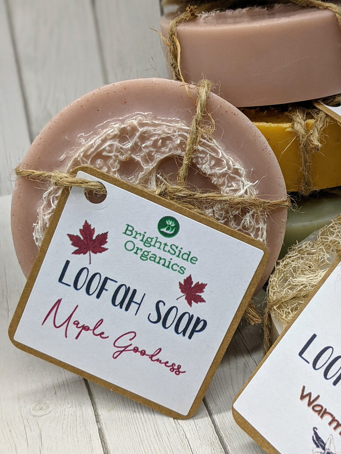 Exfoliating Goats Milk Loofah Soap Holiday Scents | Handcrafted Luffa Soap | All Natural Loofa soap Winter Scents | Pumpkin Spice Luffa