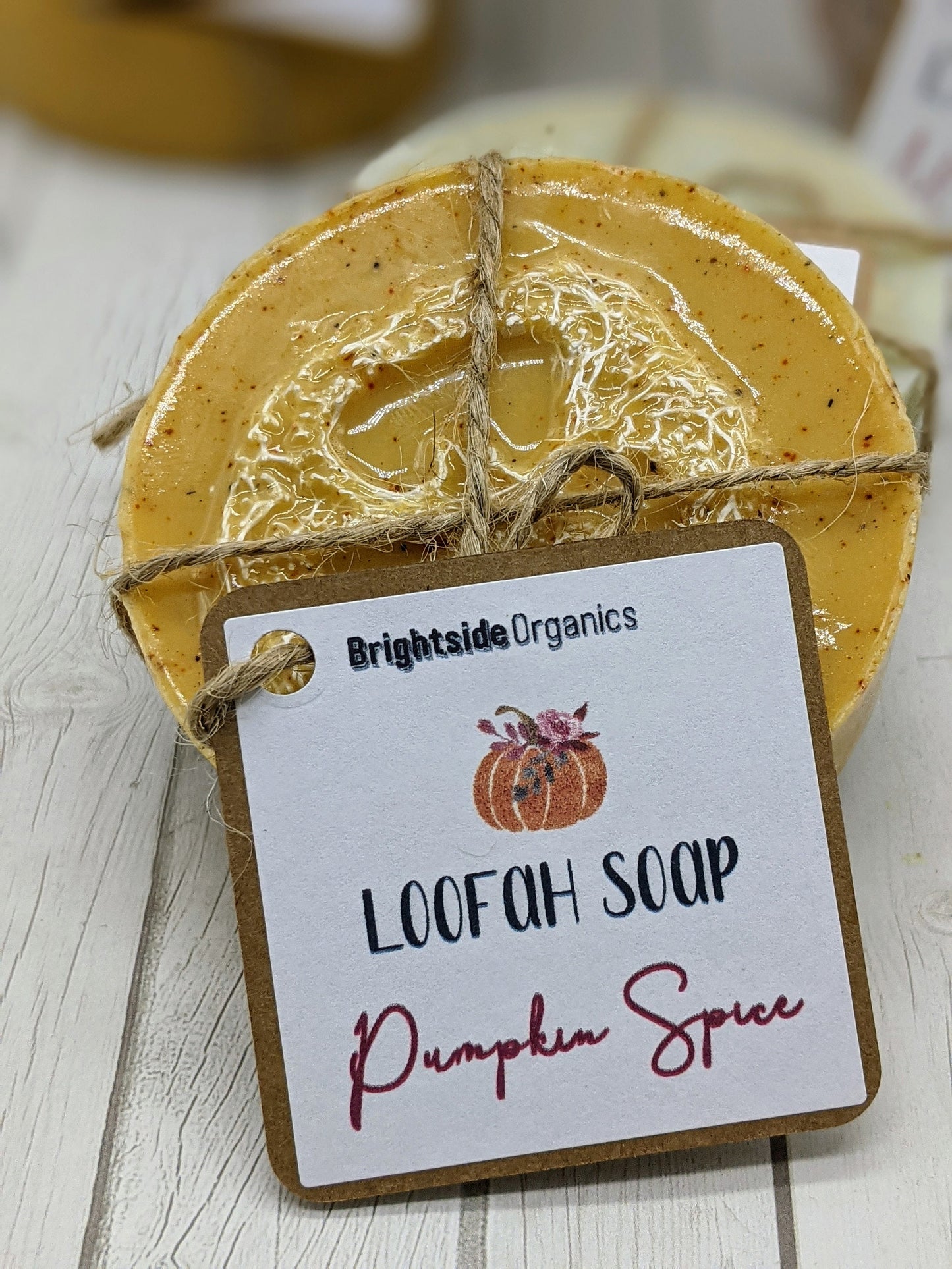 Exfoliating Goats Milk Loofah Soap Holiday Scents | Handcrafted Luffa Soap | All Natural Loofa soap Winter Scents | Pumpkin Spice Luffa